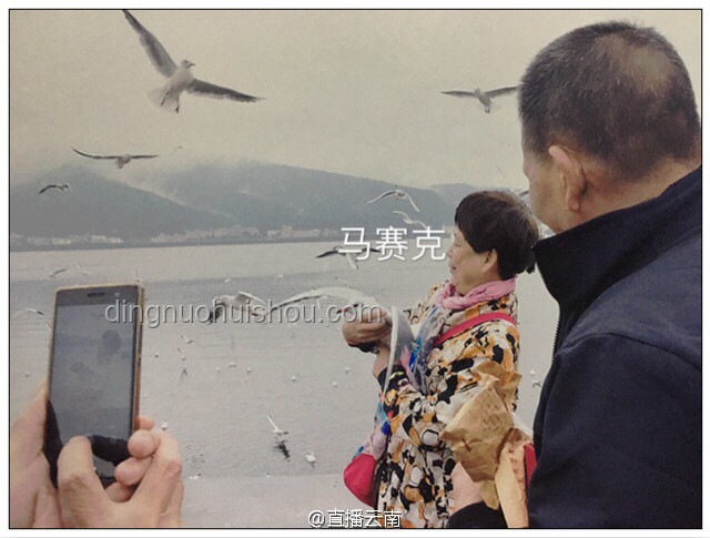 无良游客行为警示：她如何被无心之失所毁